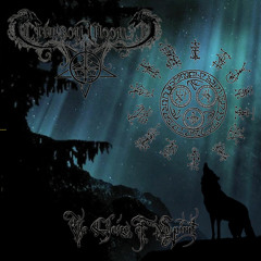 Nocturnity