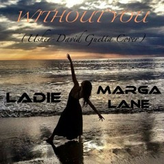 Without You - David Guetta feat. Usher (Cover)