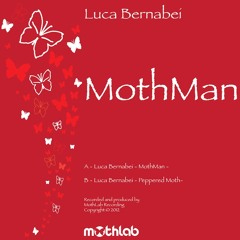 Luca Bernabei  Peppered Moth  (Original Mix)