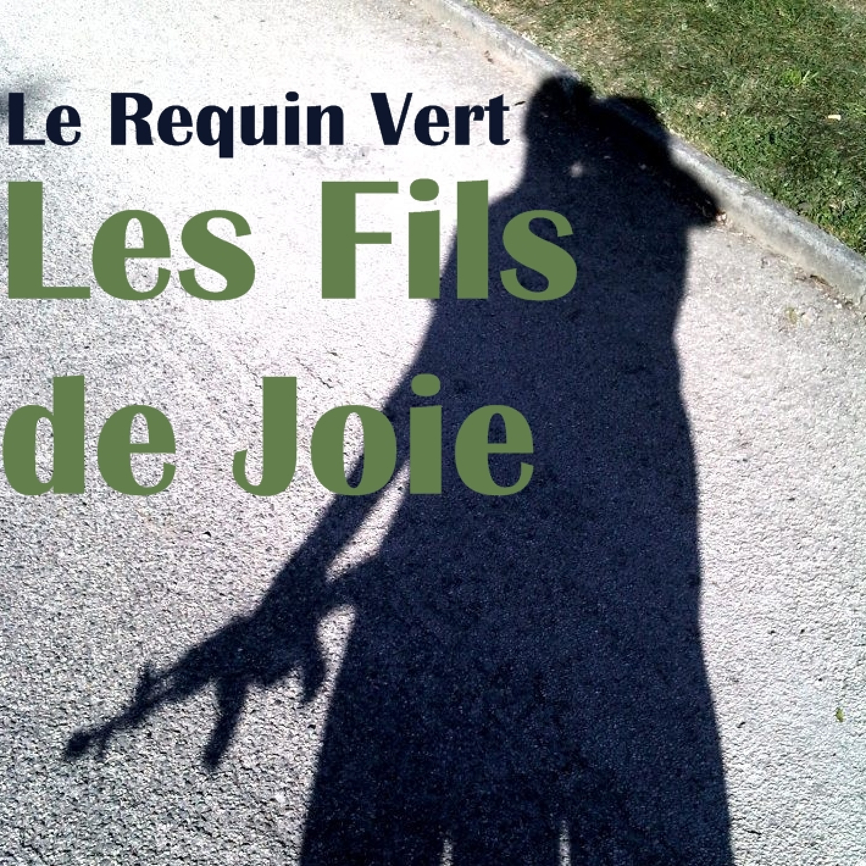 LES FILS DE JOIE - Arrête ça c\'est trop bon