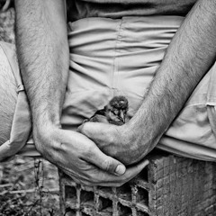 AlkaLoidGratis presents Cocaine Nights und Heroin Morning # 1