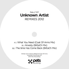 Coat Of Arms - What You Need (Coat Of Arms Mix) (Pets Recordings)