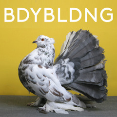 BDYBLDNG - Do they like fruit/drugs