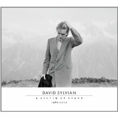 David Sylvian & Hector Zazou - A Victim Of Stars (Klaus Olsen's Spellbound Remix)