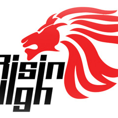 Sound im Ohr (Risin High Soundsystem  Dubplate)