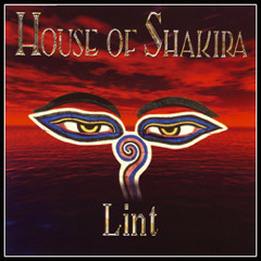 House of Shakira - Lint album sampler