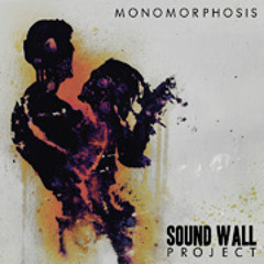 Sound Wall Project - Unexpected Lysergic Effects (Feat. Colin Edwin)