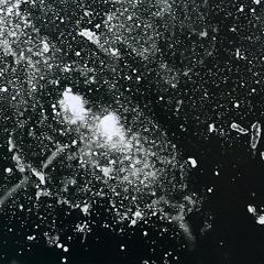 Inside the Heart of Silence