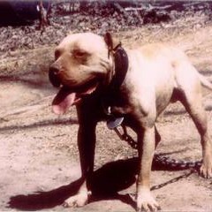 JFK FT. WAKA FLAKA FLAME "IM READY