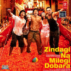 Zindagi Na Milegi Dobara (2011) - Senorita (Remix)