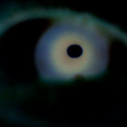 Klumzy Tung - NewYearsResolutionaries (Matt Needham Remix)