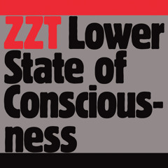 ZZT - Lower State of Consciousness (Justice Remix)