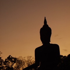 Reborn - Release by Chill Om Records on 22/09/2012