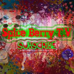 Mr Richie Spice - Voices