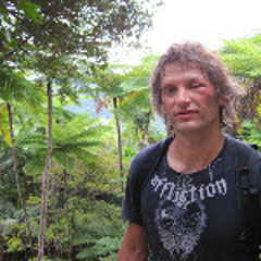 Narration of Joseph Simcox's Jan. 24, 2012 Comment on Future of Food