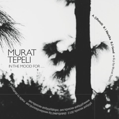Philpot 059 Murat Tepeli "in the mood for..." EP