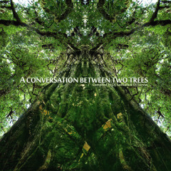 Messy Mass - Slumbering