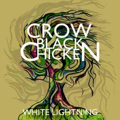 Crow Black Chicken, Bijou Creole