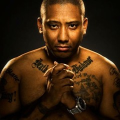 Maino - predictions 2012