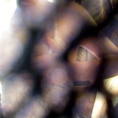 ... (was all she said)