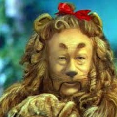 Zedd vs. Afrojack - Lionheart Comes Out (Skugog Mashup)