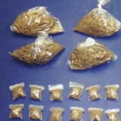 Rotz - I Can Deal With That