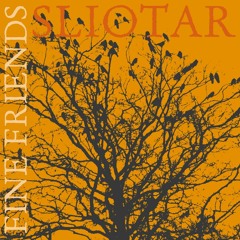 10 Whiskey in the Sauna