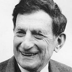 David Bohm on Perception