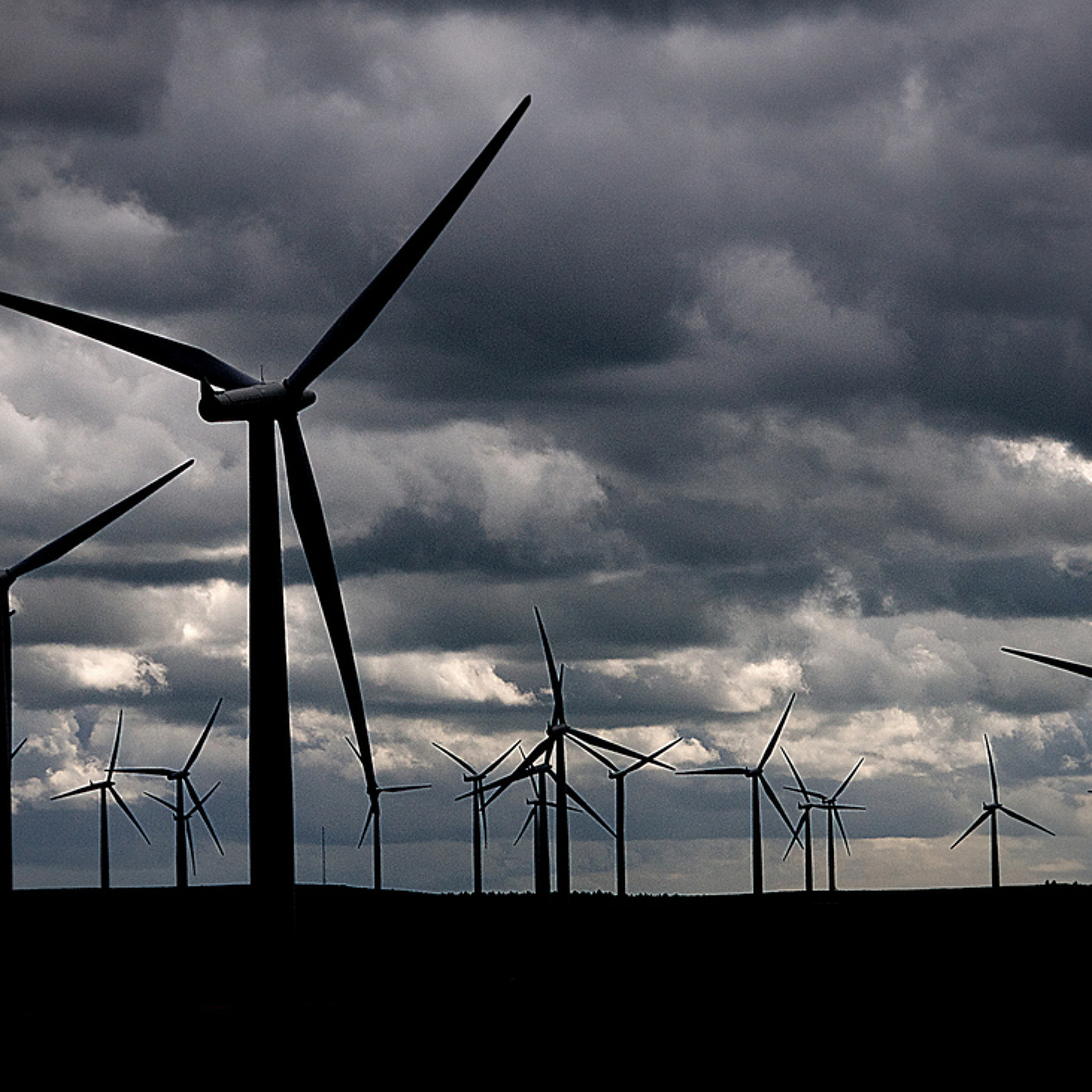 ARCHIVE: TREVOR BARNES ON 'LUNATIC' WIND FARMS