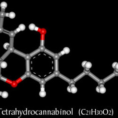 T.H.c - No Name ( Demo )