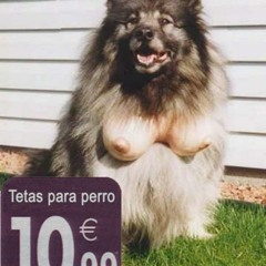 La pichicha de Malvina