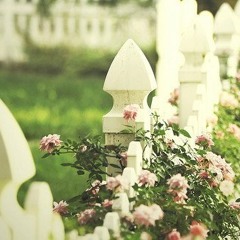 قلُوب كَ نقشِ ألغيُوم ! ()