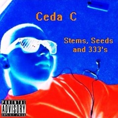 Ceda C - 333's [Ceda C. First Song] (2011)