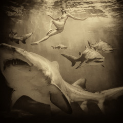 ᎪᏞᏐᎪ ᏋᏞᏋᏬ ᎢᎻᏋᏒᎪ- 2- MERMAID & SHARKS -DR STRANGE AMB GROOVE SET-2012-free downloadable 48 Khz 24 bit