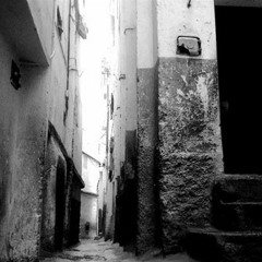 Nazi -Zone Dangereuse-  **2011**