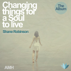Shane Robinson - Never Be The Same
