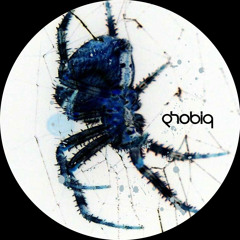 Chris Hope & Andre Walter - Solid Light (Original Mix)