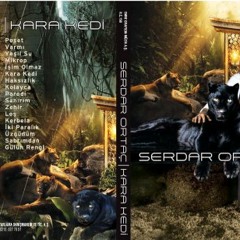 Serdar Ortaç - Kara Kedi (*KaraKedi*2010) CD KALİTE (SORMUSİC)