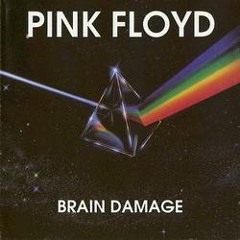 "Brain Damage"/"Eclipse" - Pink Floyd