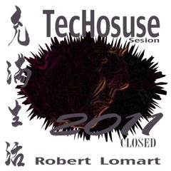 2011Techouse Mixed by RobertLomart 2horas