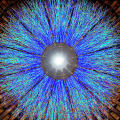 Lady Waks (Gluon Remix)