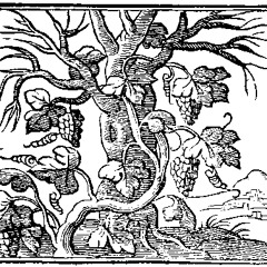 Stripped (Depeche Mode Cover)