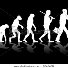 The Evolution Theory