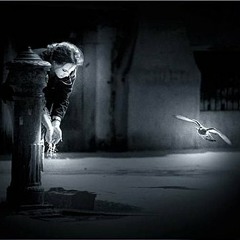 Amor En Apocalipsis - Zack Ochoa