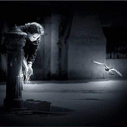 Amor En Apocalipsis - Zack Ochoa