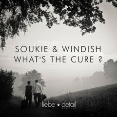 Soukie & Windish - Whats The Cure ? (Original Mix)