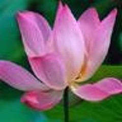 BLISS-2
