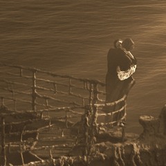 Celine Dion - My Heart Will Go On (Space Junkie Remix)