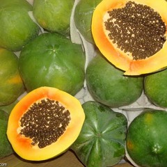 جنى الباباى
