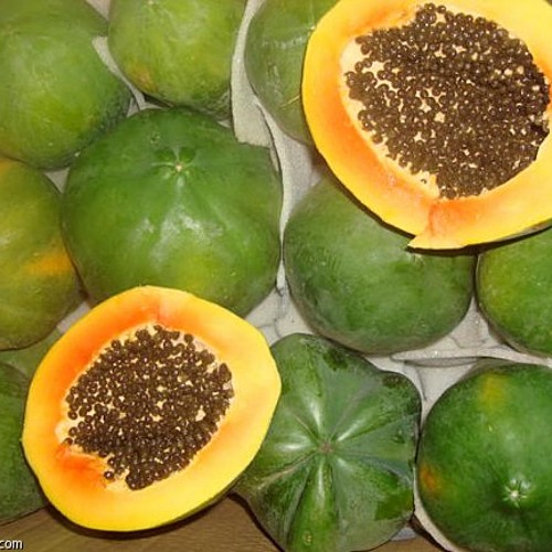 جنى الباباى